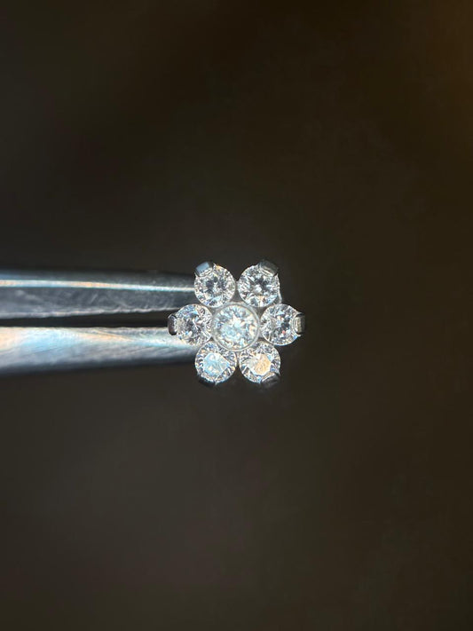 Cosmos Flower dermal