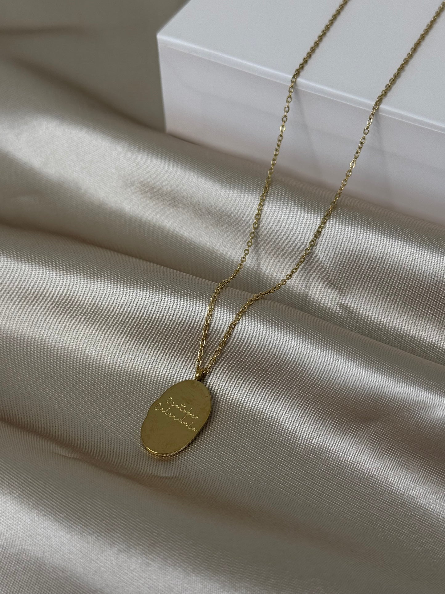 Colendula -October’s Flower