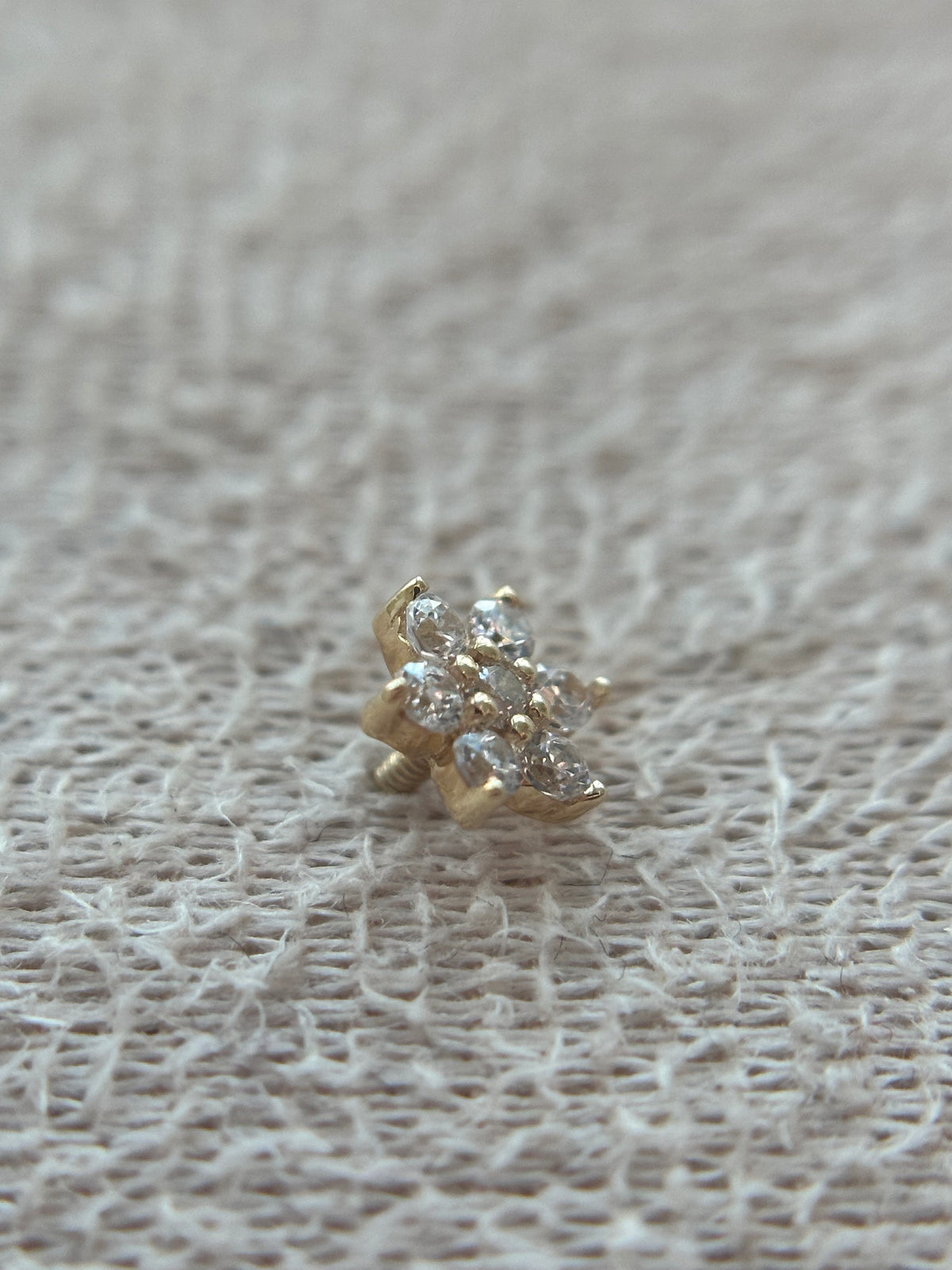14k Big Amaryllis Flower