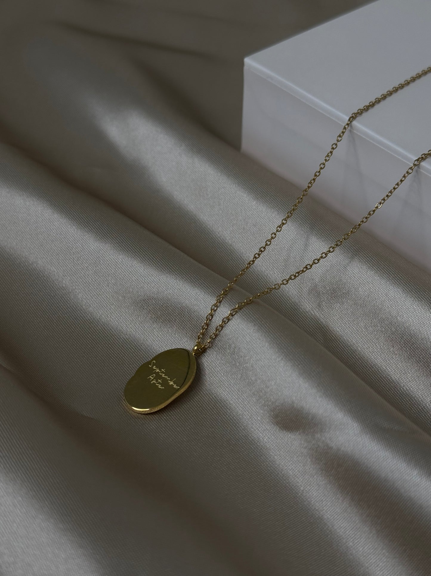 Aster - September’s Flower