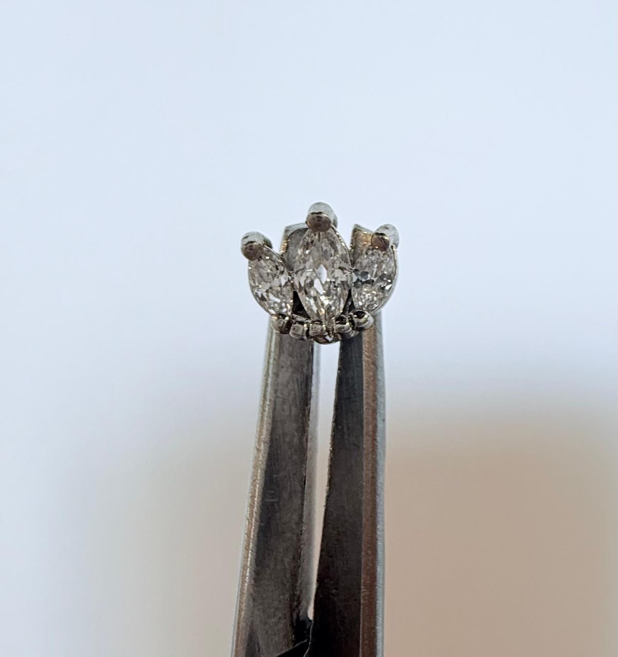 Small Crown Dermal