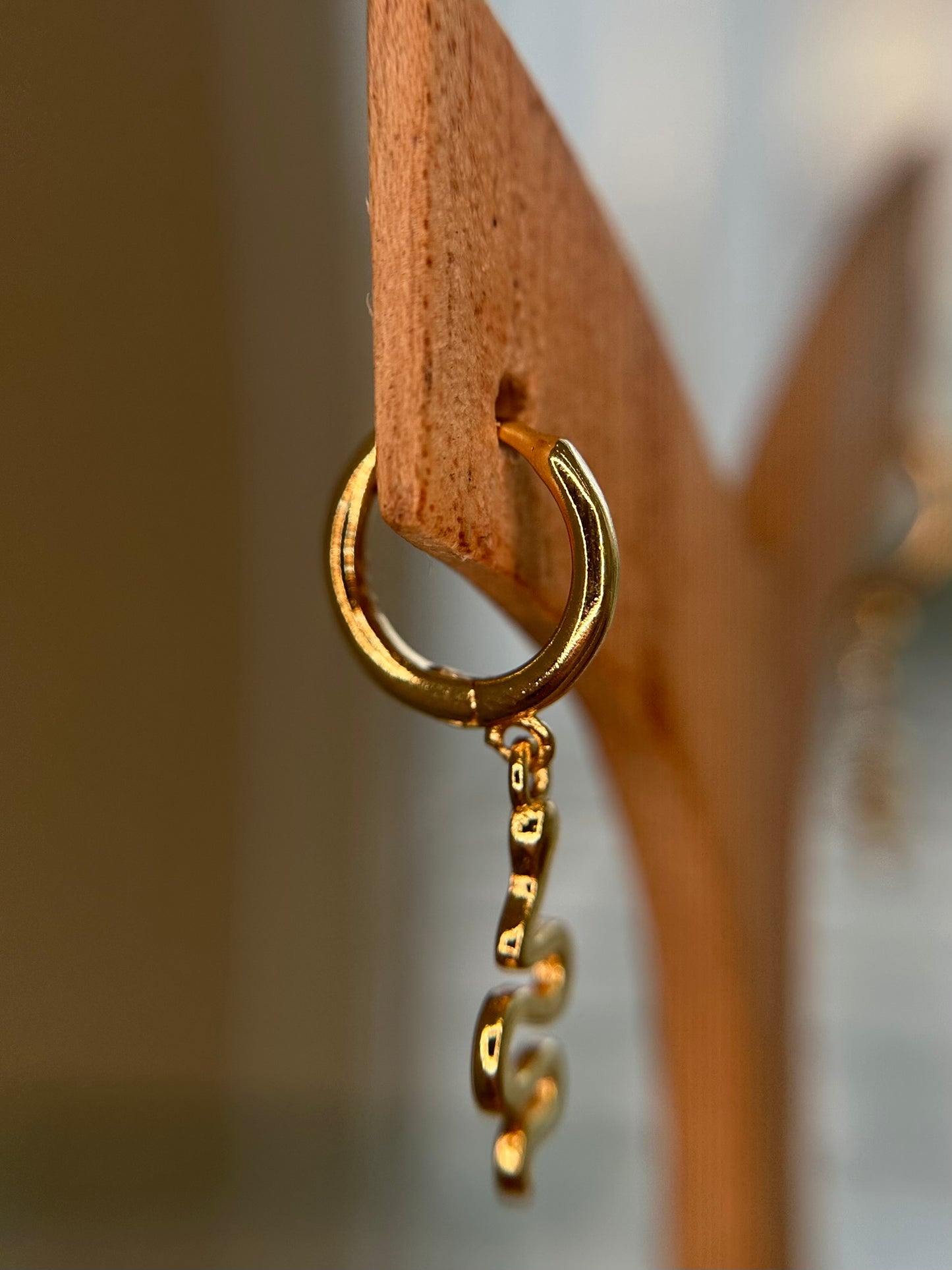Slither Hoops Pair