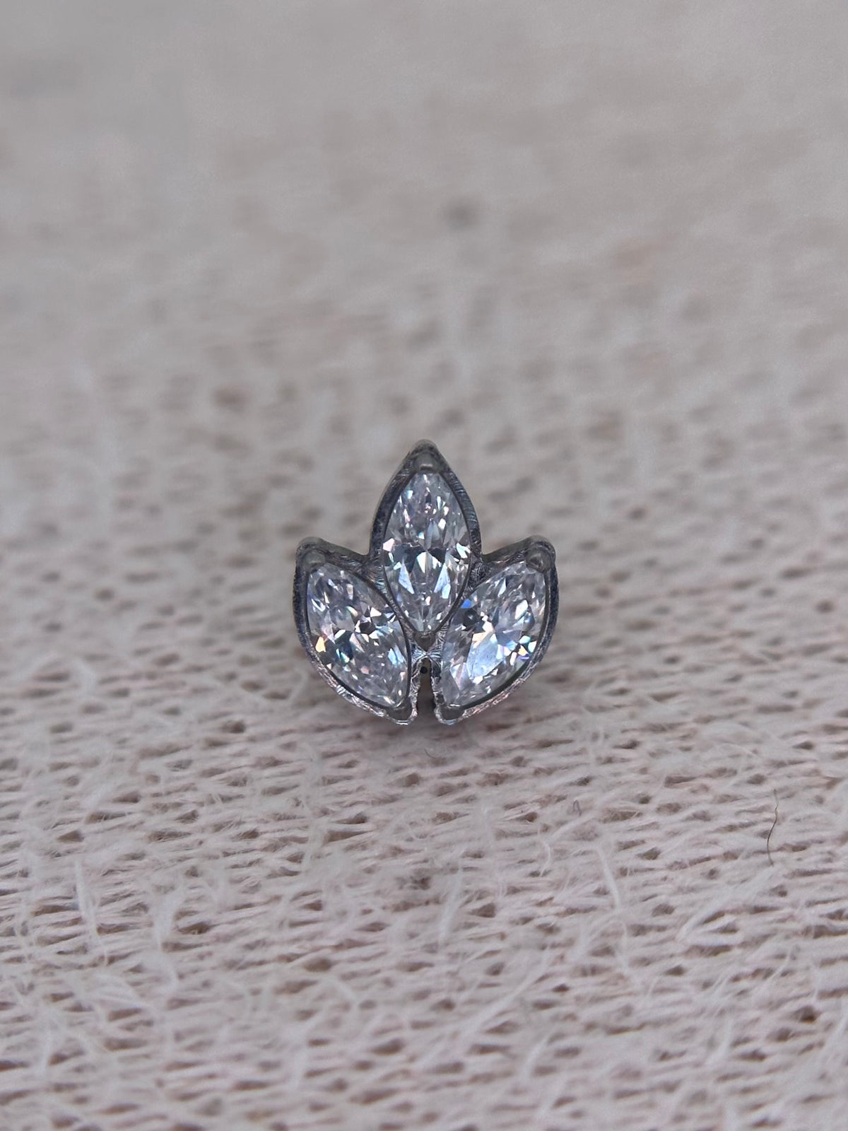 Bordered Lotus