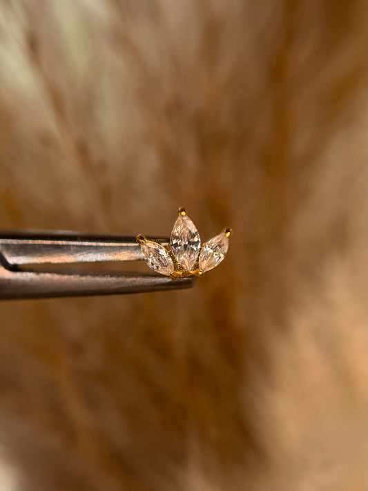 Caeli Crown Dermal Top