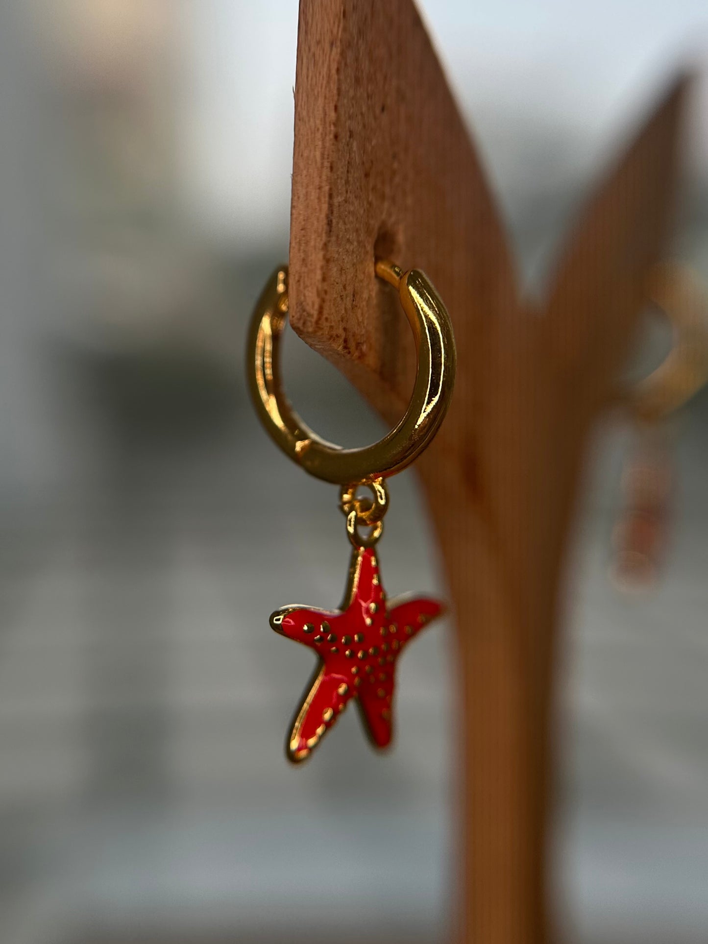 Red Spine Star Pair