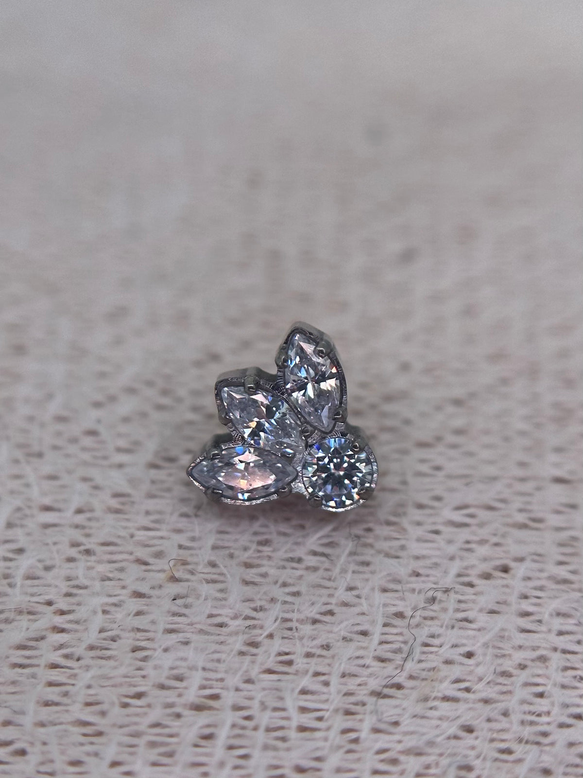 Bordered Crown Dot
