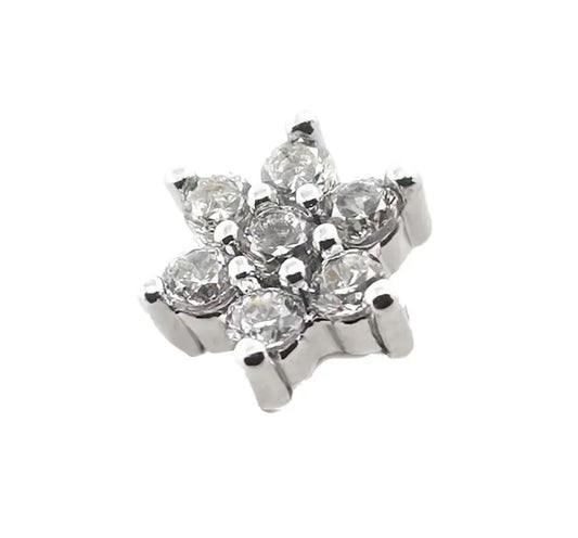 Amaryllis dermal top