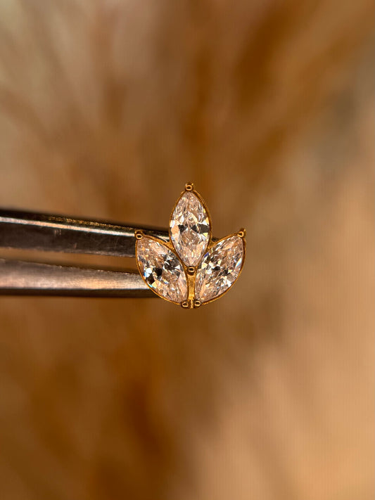 Velia Crown Dermal Top