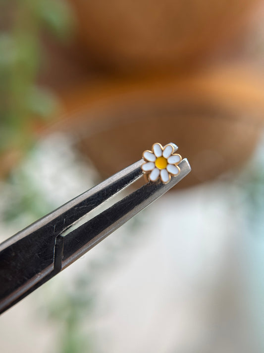 Jasmine flower