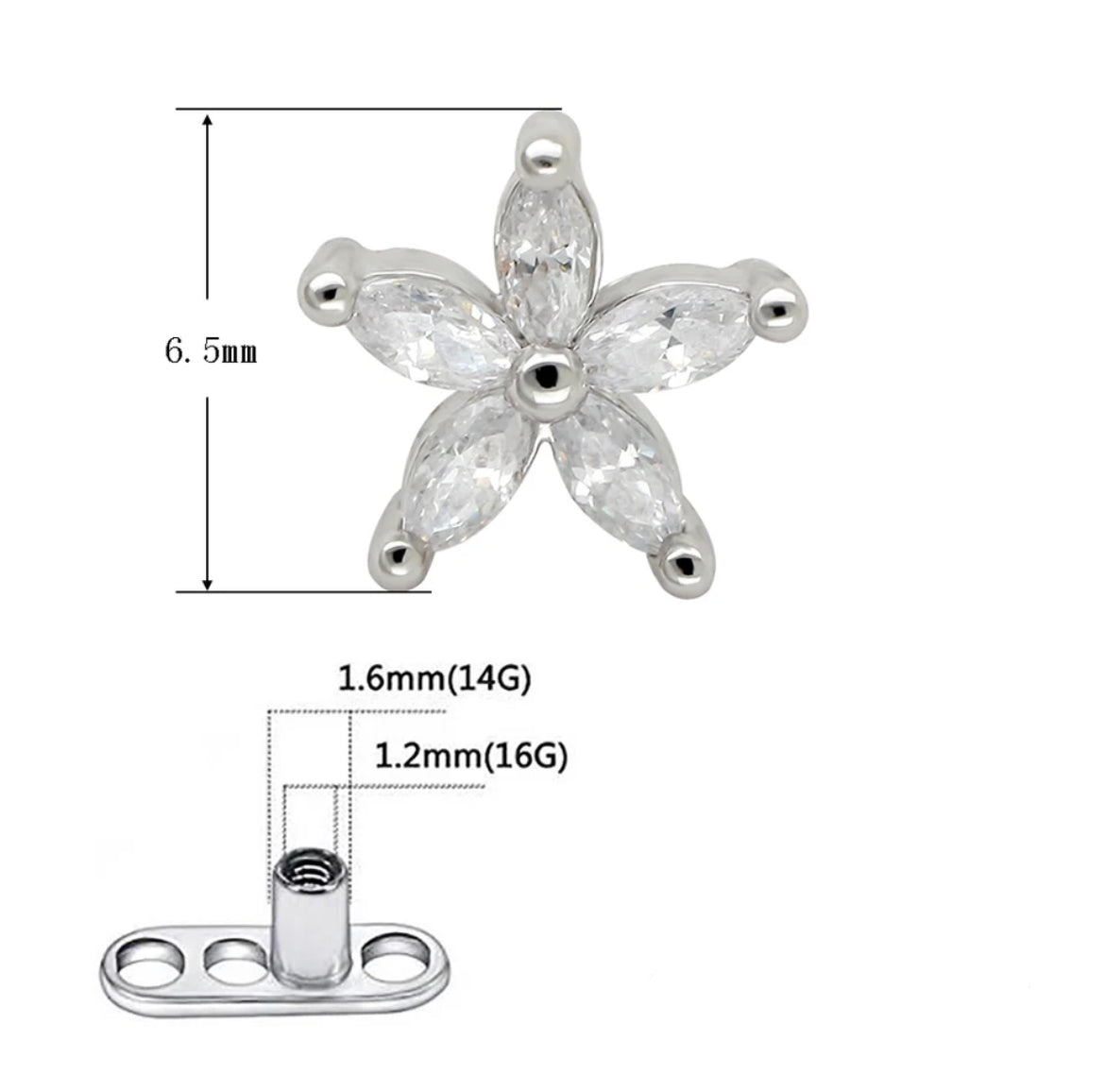 Lotus dermal top