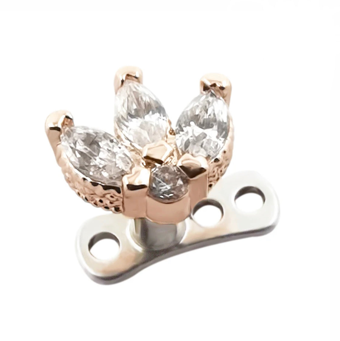 Queen dermal top