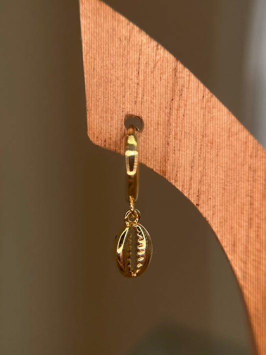 Cowrie shell pair