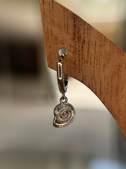 Nautilus Shell Pair