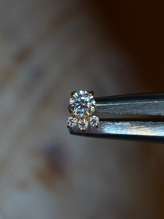 Crystal Paw
