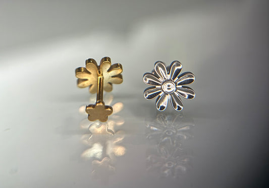 Plain Daisy Flower