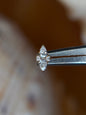 Inverted Tear Drop