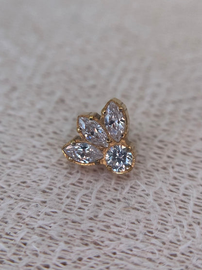 Bordered Crown Dot