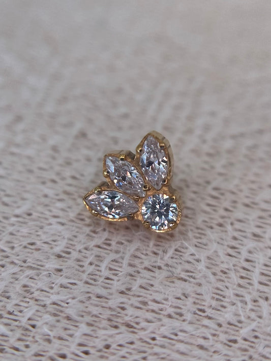Bordered Crown Dot
