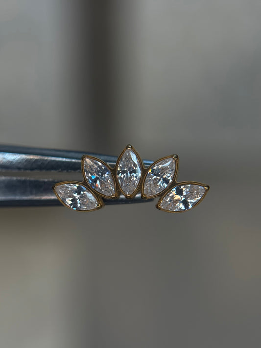 5 Bordered Stone Crown