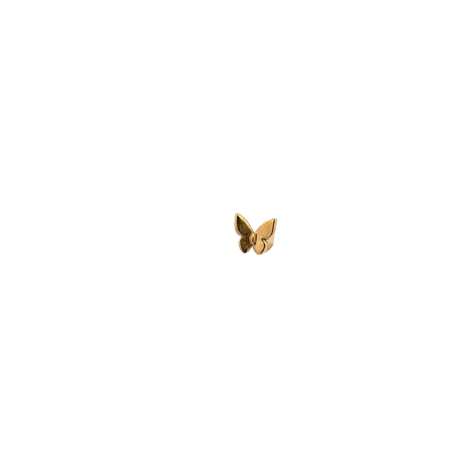 14k Butterfly