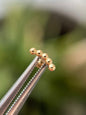 14k Plain Current