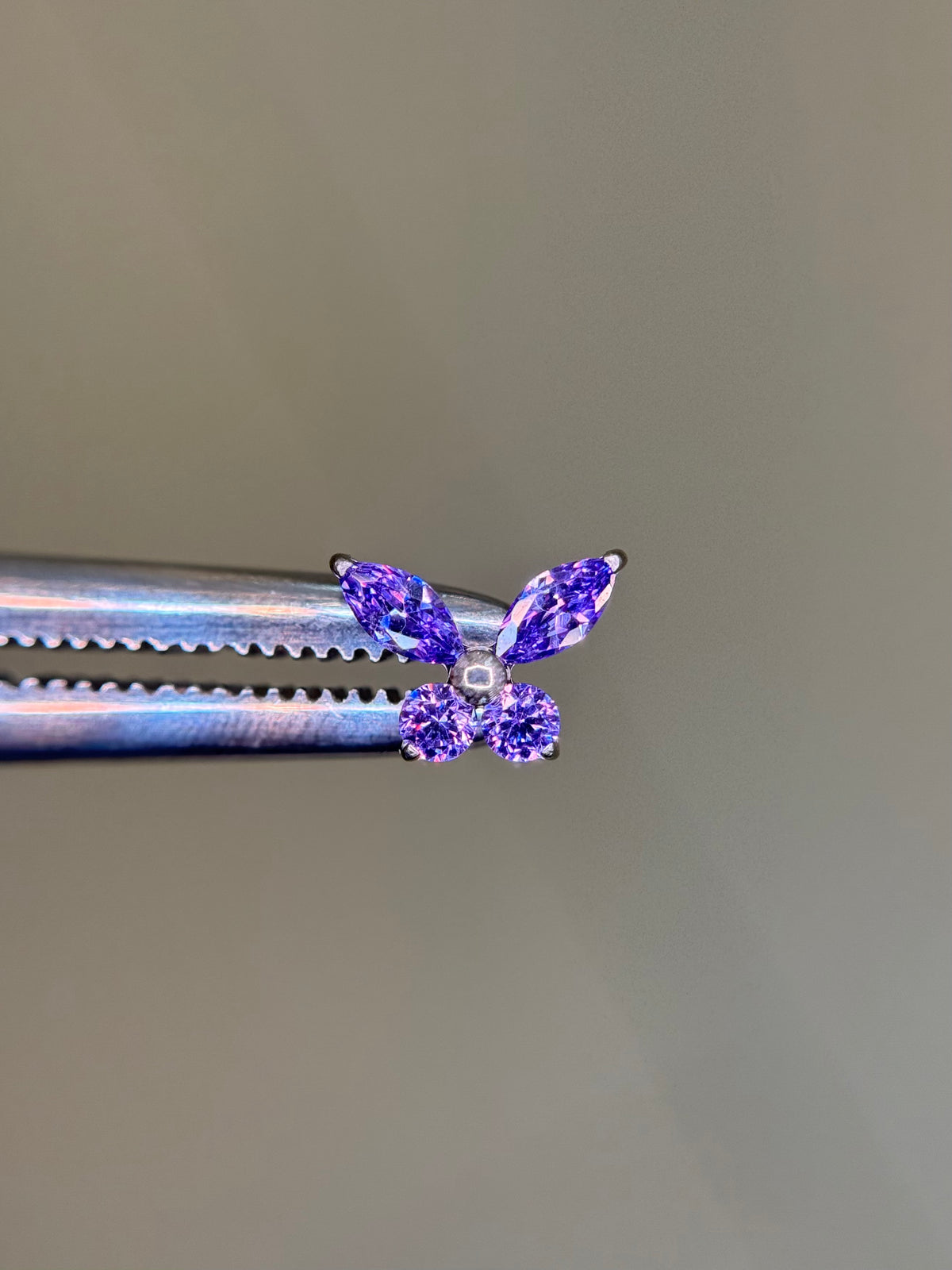 Delicate Butterfly