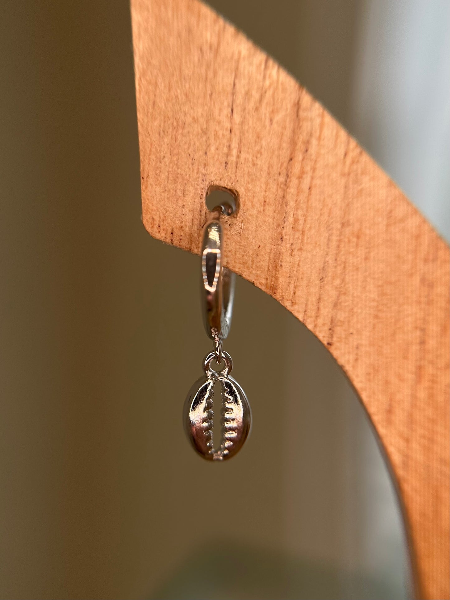 Cowrie shell pair