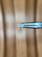 Crown Dangle