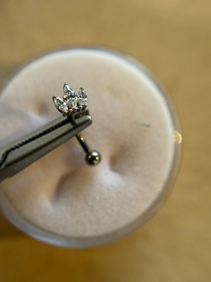 Crown rook
