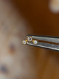 Triple Stud Curve