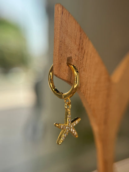 Radiant Starfish pair
