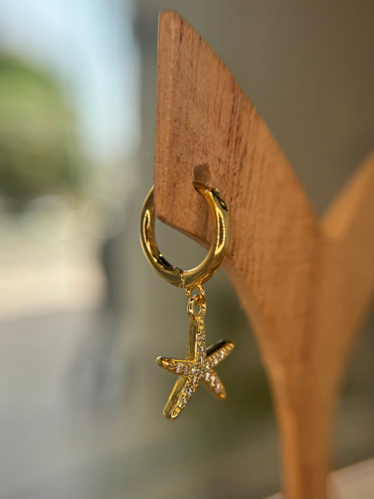 Radiant Starfish pair