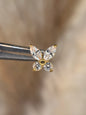 Butterfly dermal top