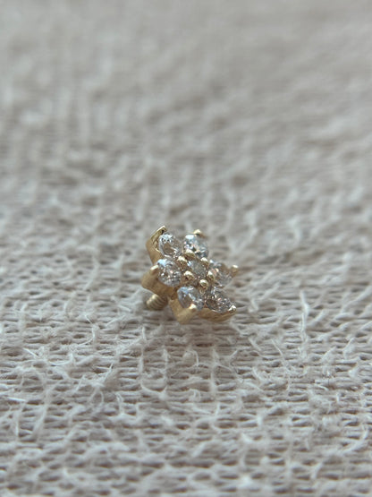 14k Big Amaryllis Flower