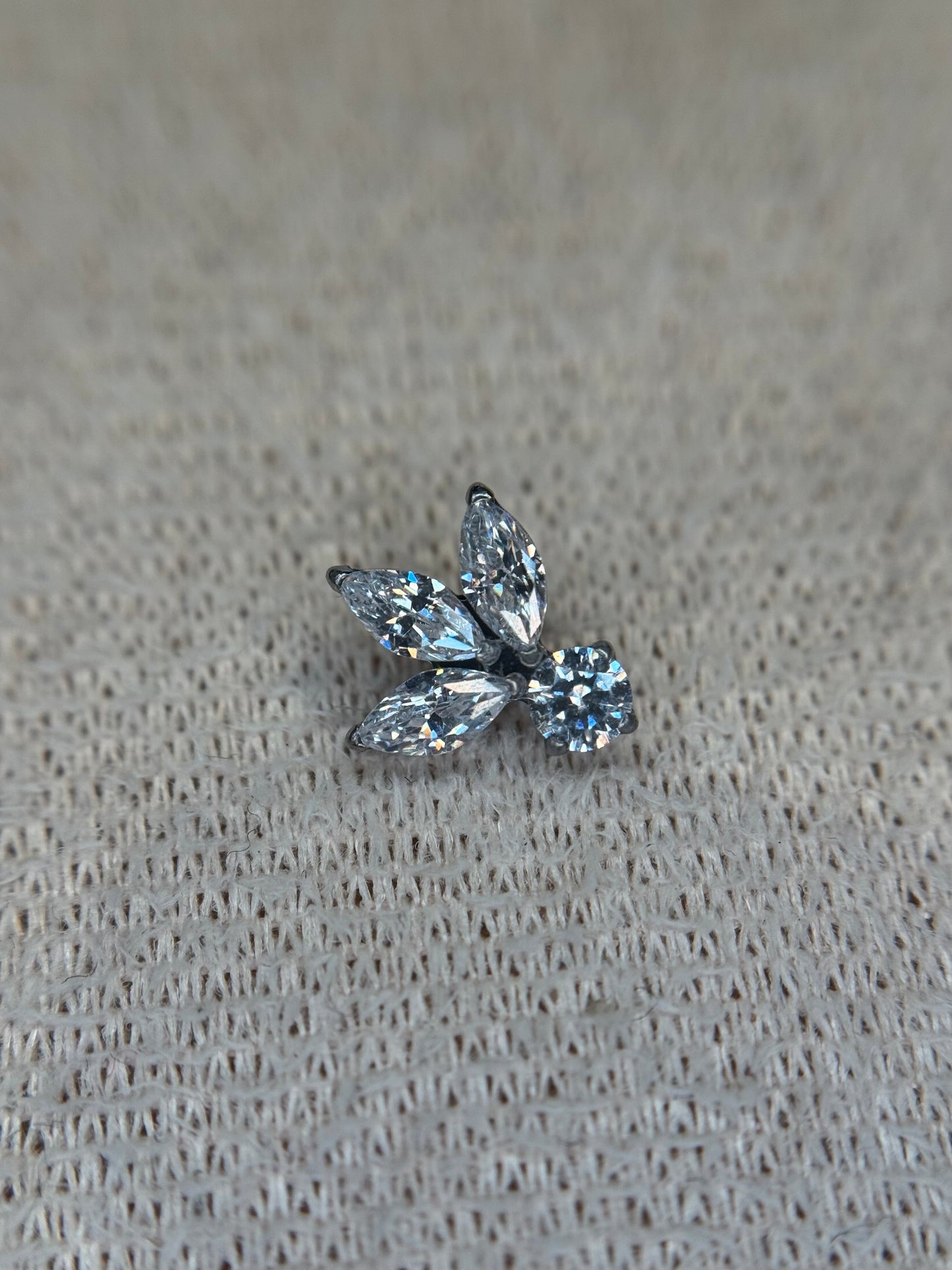 Clarissa Crown