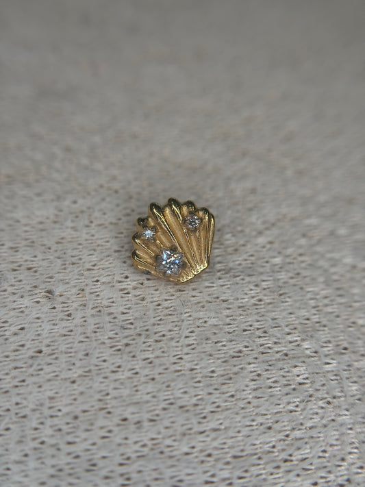 Golden Shell