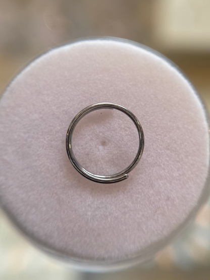 Double nose ring
