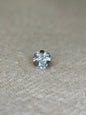 Heart Stud Dermal Top