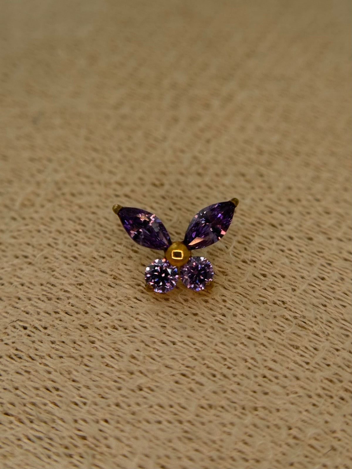 Delicate Butterfly