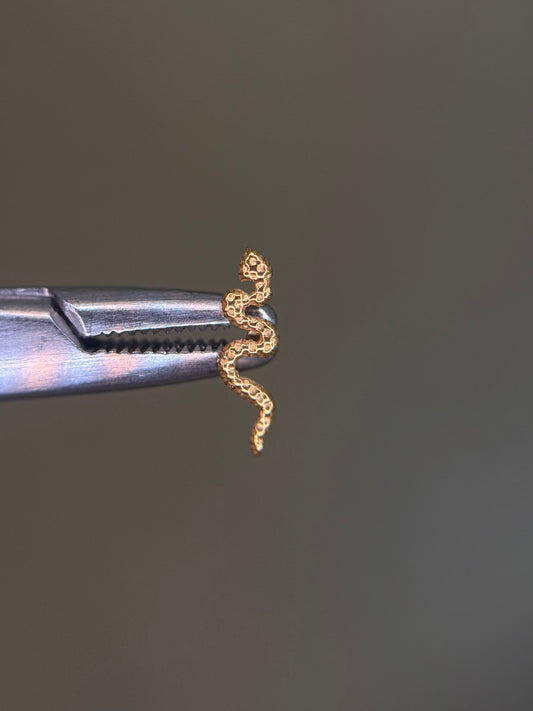 Plain Snake