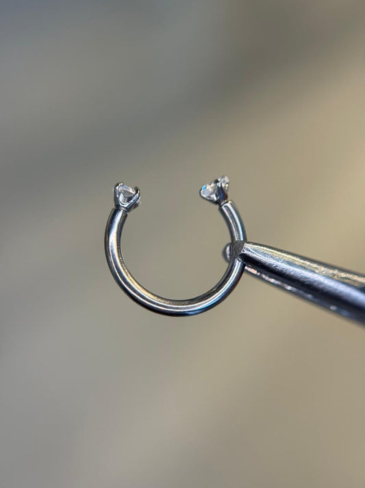 CZ horseshoe Titanium
