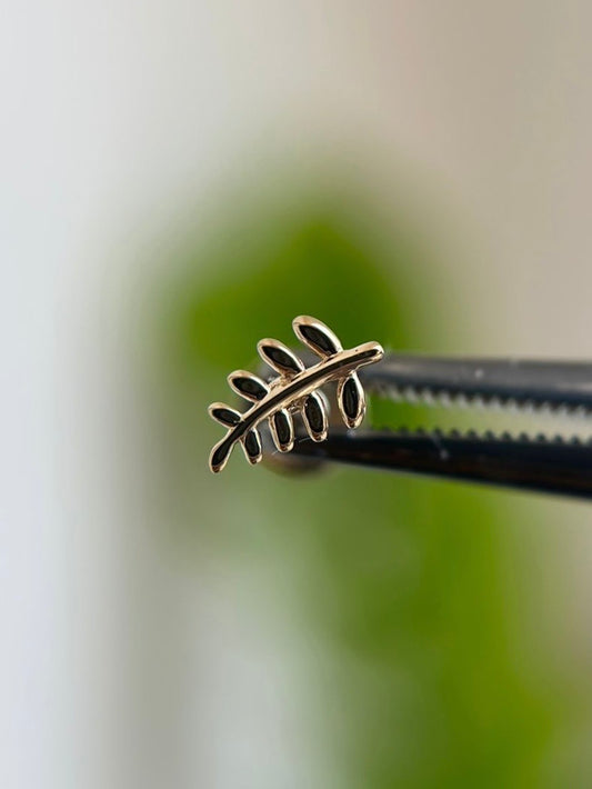 14k Plain Olive Leaf