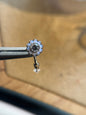 Color Flower Rook