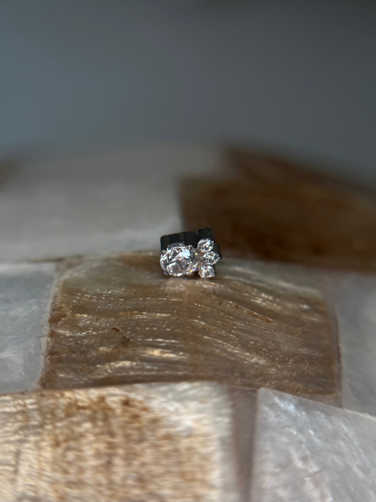 Crystal Paw