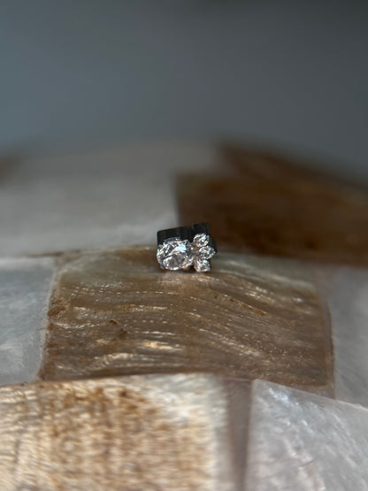 Crystal Paw