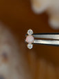 Opal Line