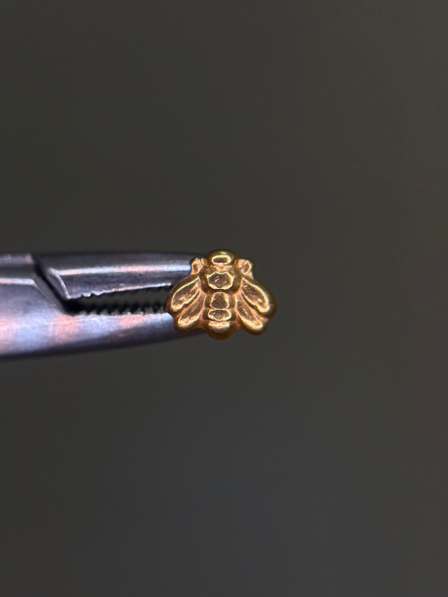 Plain Bee