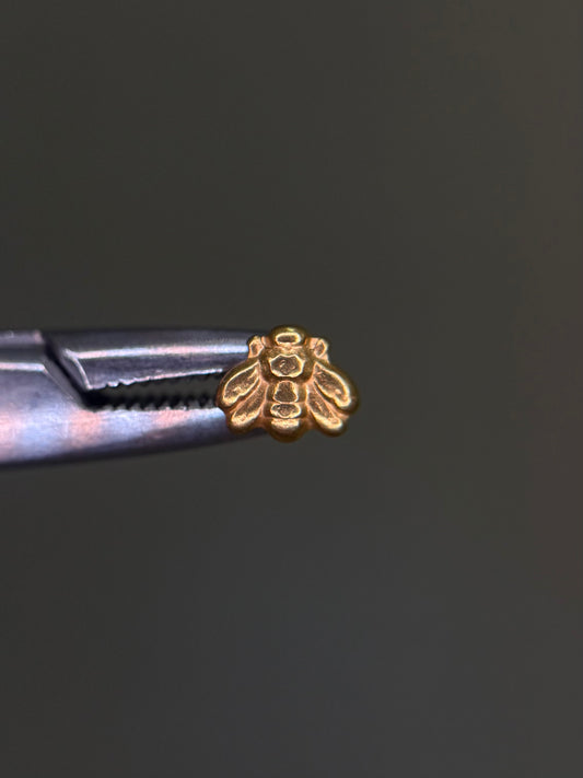 Plain Bee