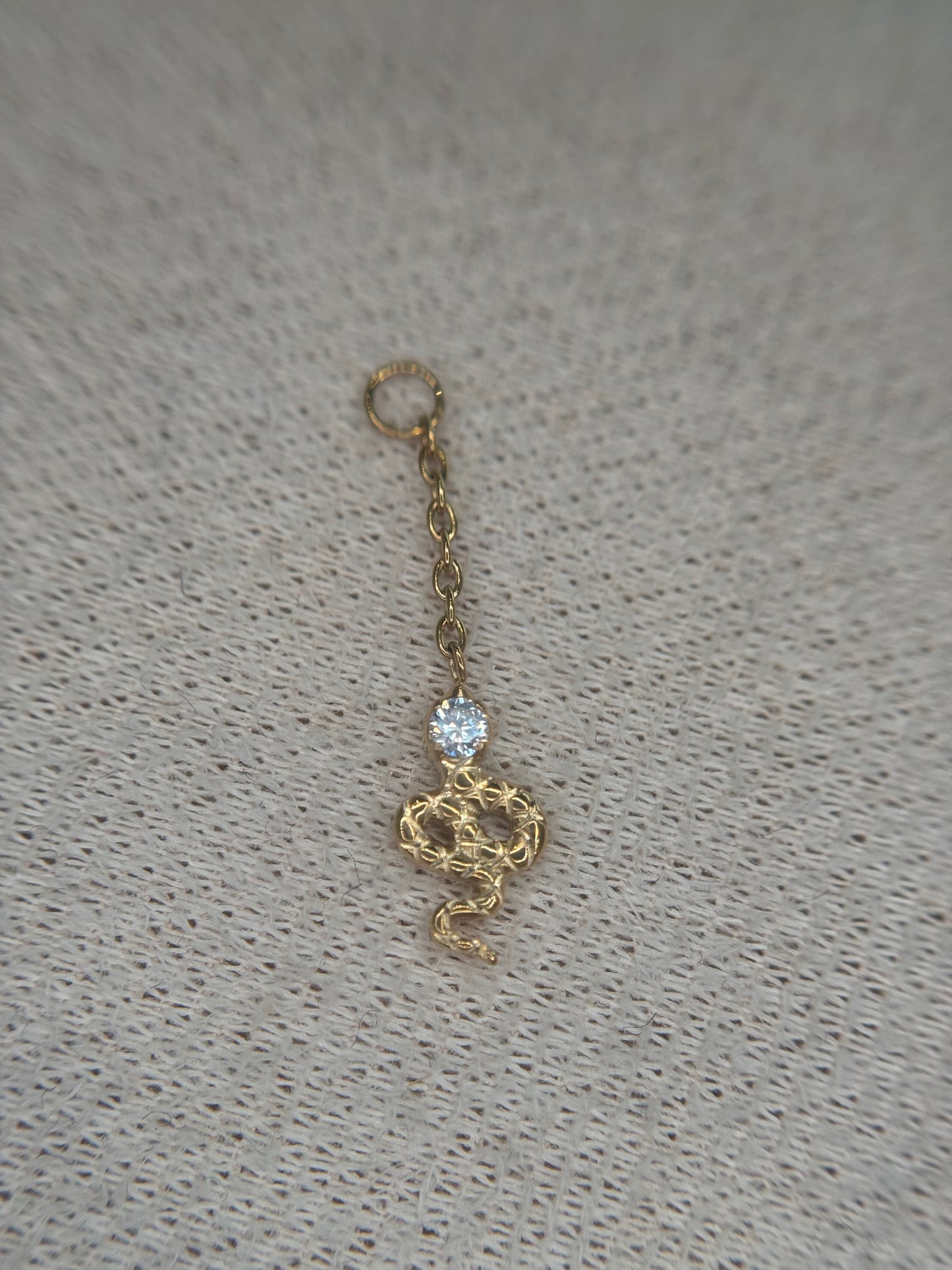 Snake Chain Charm