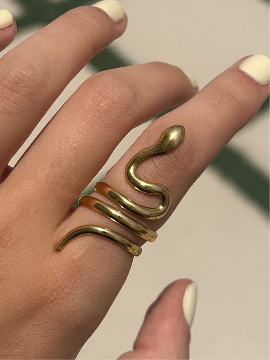 Wrapped Snake ring